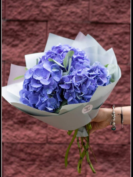 Cloud with hydrangeas